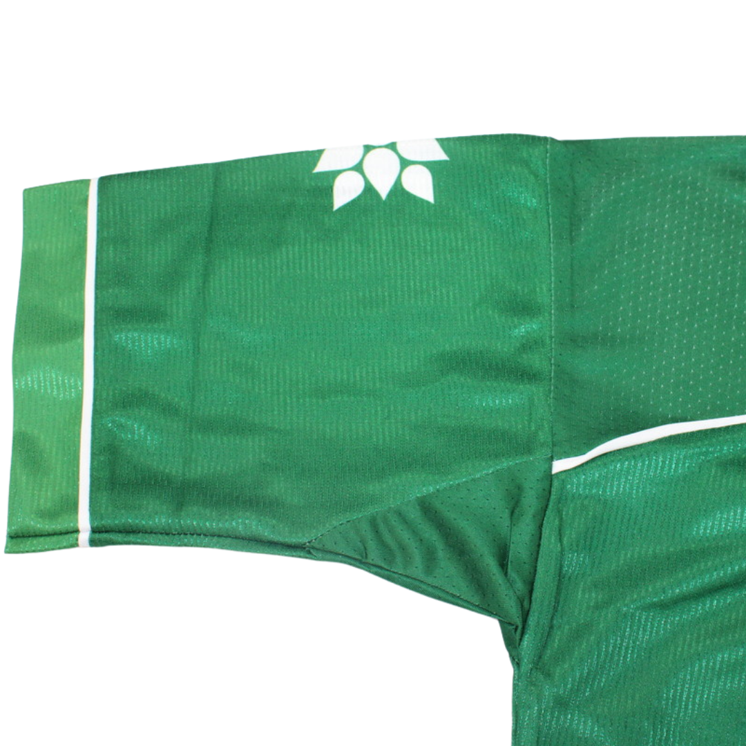Camisa Palmeiras Aniversario - Versão Retrô - Imagem 4