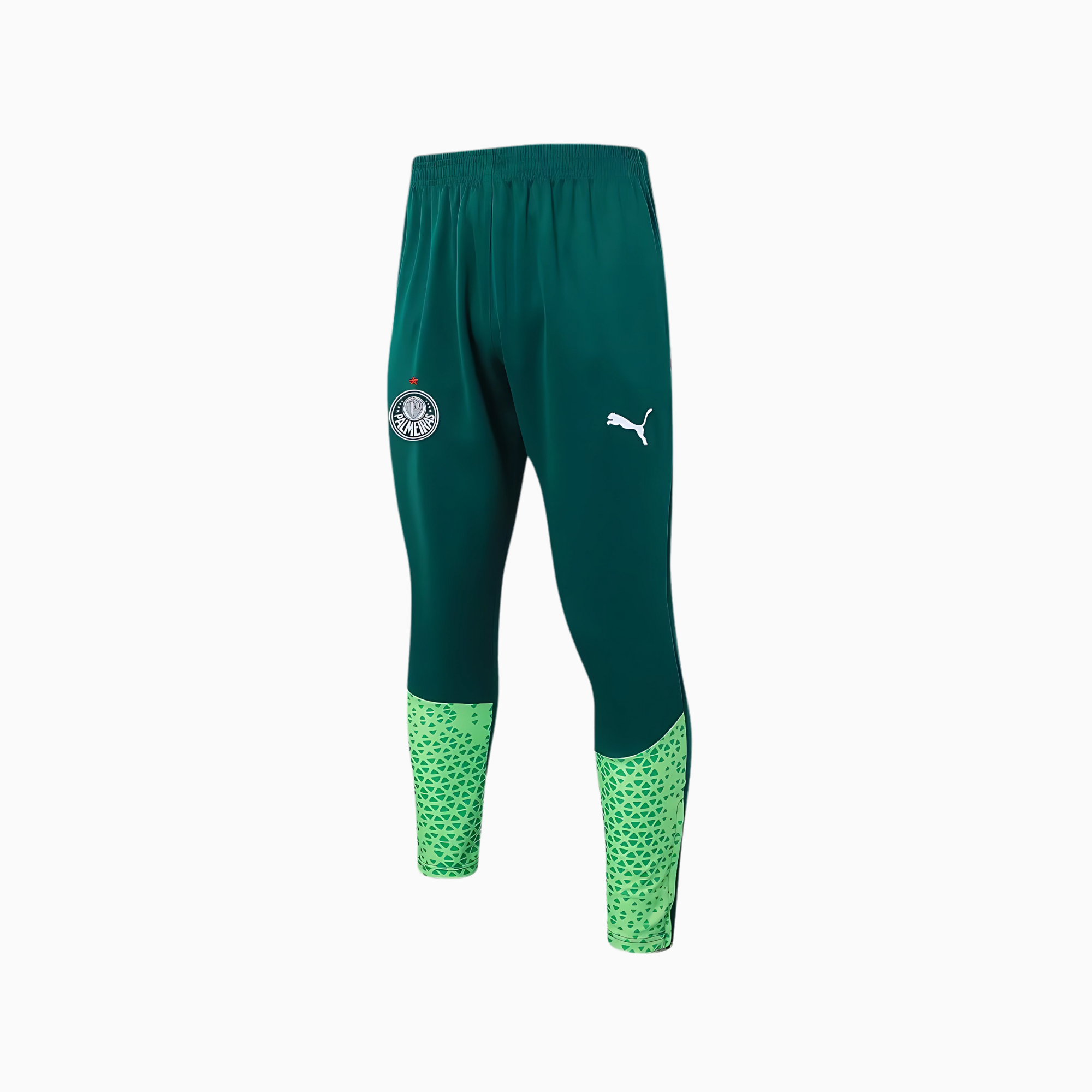 Conjunto de Treino Puma Palmeiras 2024/25 II – Masculino - Imagem 3